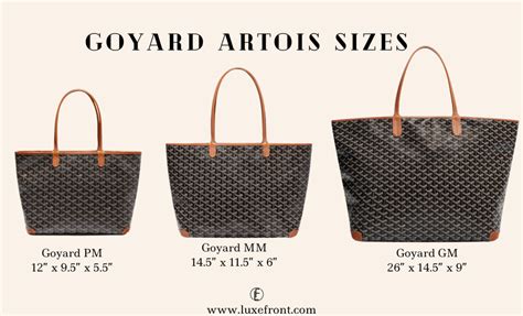 goyard artois vs saint louis|goyard st louis pm size.